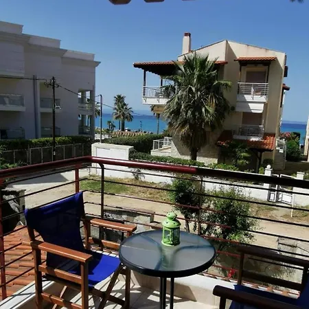 Purple_rose_apartment